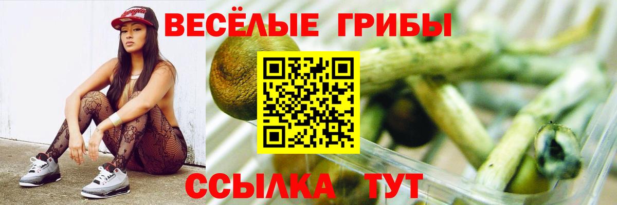 Воркута  Галлюциногенные грибы прущие грибы  Вход с VPN  сколько стоит  Псилоцибиновые грибы GOLDEN TEACHER 